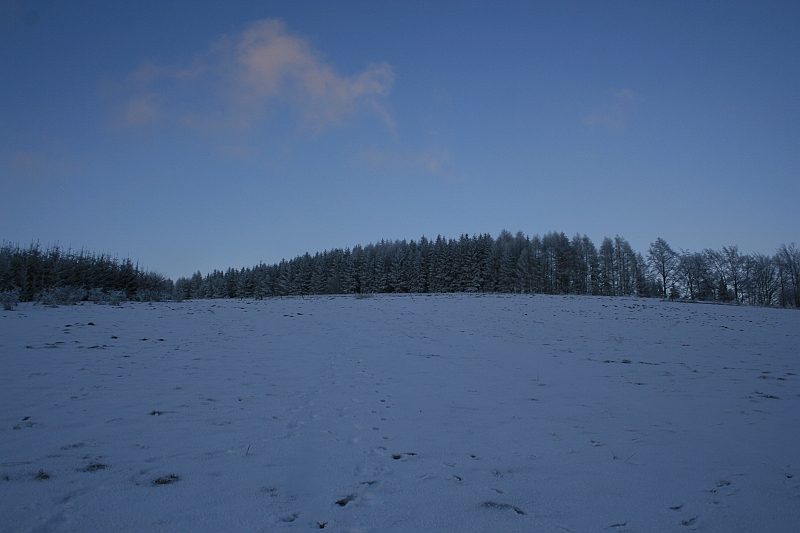 Bieszczady 12.2007 068